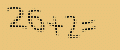 protect code