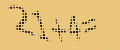 protect code